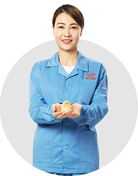 永乐高·(中国区)官方网站